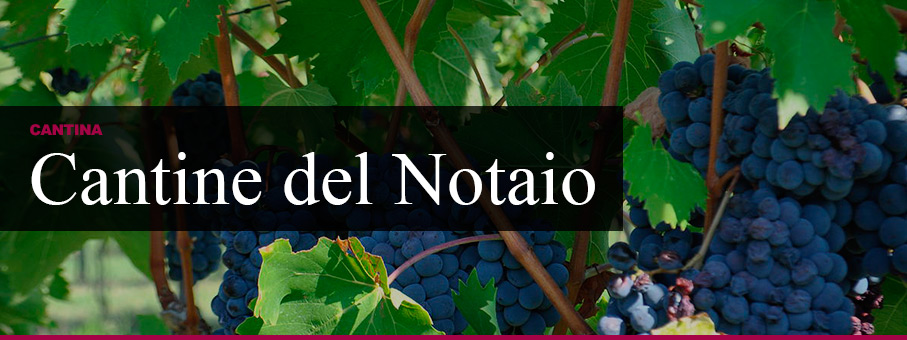 Cantine del Notaio