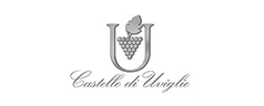 castellodiuviglie