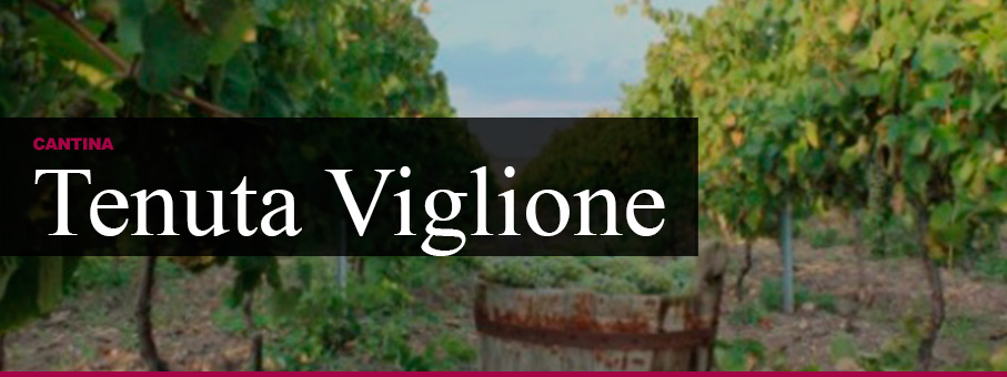 Tenuta Viglione